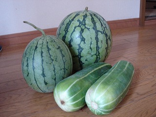 まろ印の野菜