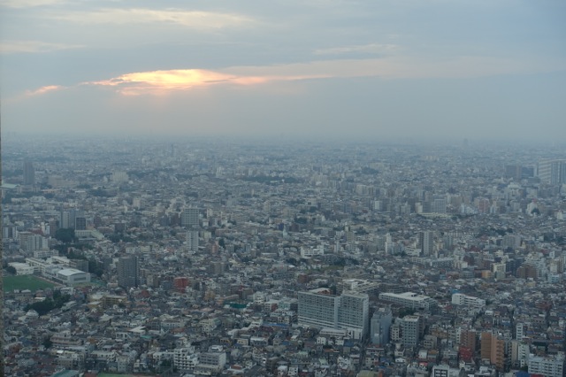 DSC00120 のコピー.jpg
