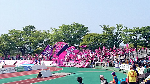 セレッソ大阪サポーター