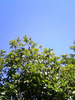 070715_1305~01.JPG
