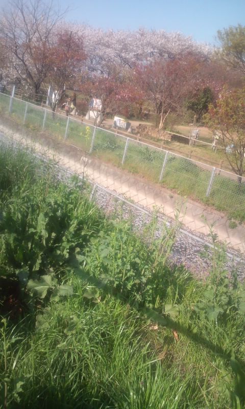 090409_1532~01.jpg