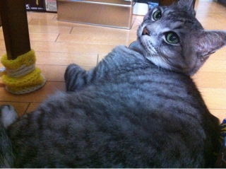 iPhoneImage.png