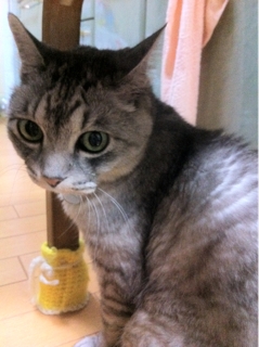 iPhoneImage.png