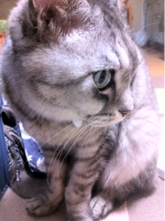iPhoneImage.png