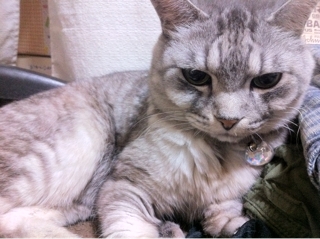 iPhoneImage.png