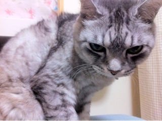 iPhoneImage.png