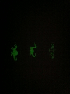 iPhoneImage.png