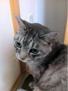 iPhoneImage.png