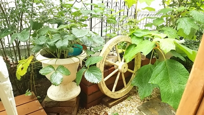 DSC_2038.JPG