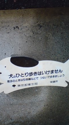 犬は理解できるのか