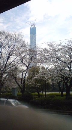 隅田公園からの東京スカイツリー