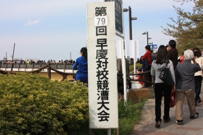 隅田川早慶レガッタ1