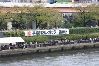 隅田川早慶レガッタ2