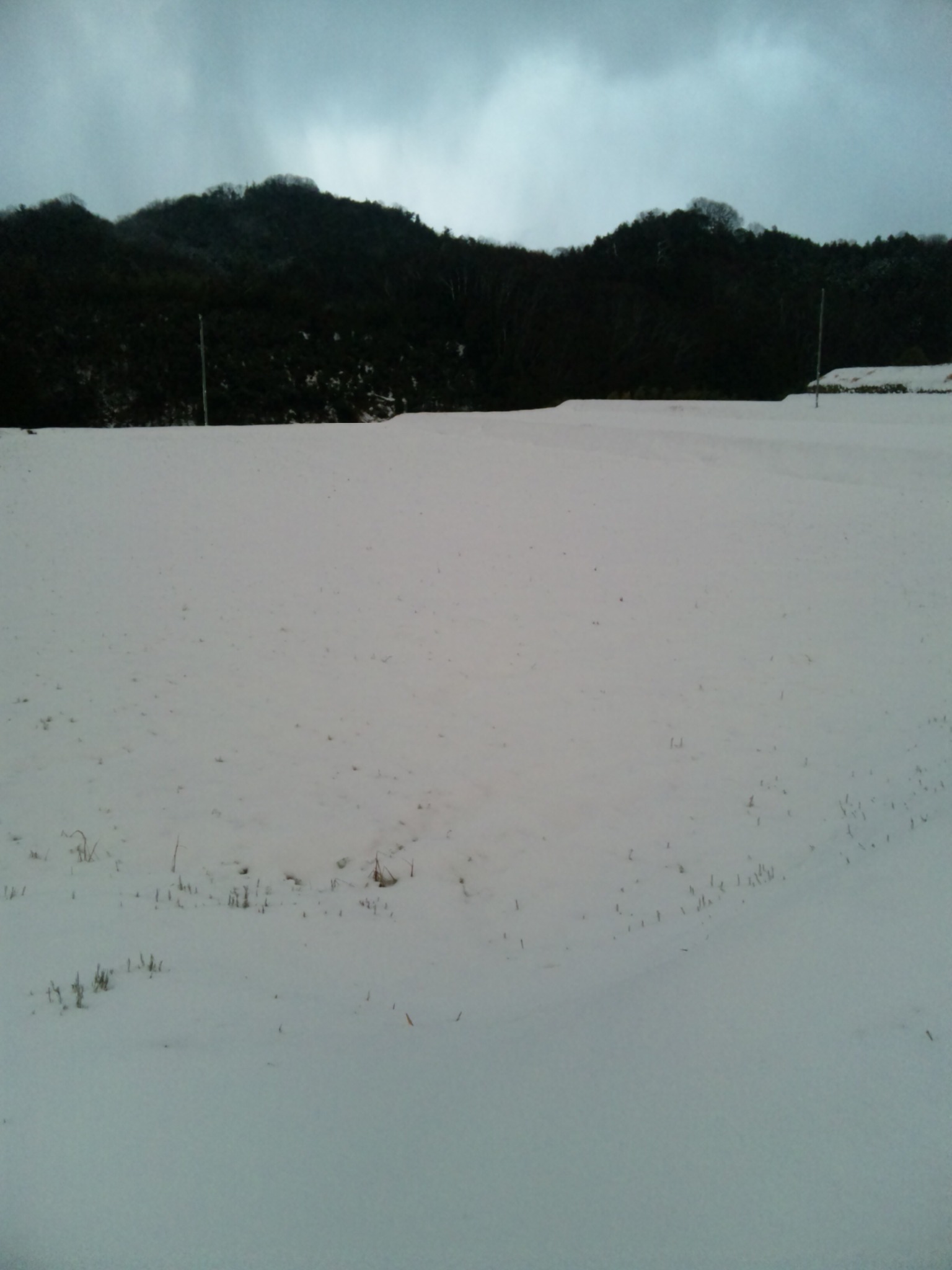 100310_175447.jpg