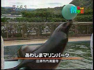 あわしまTV