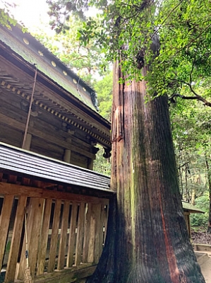 鹿島神宮　大祓