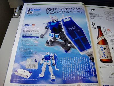 1/48 MEGA GUNDAM ANA color version