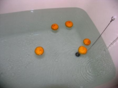 ゆず湯