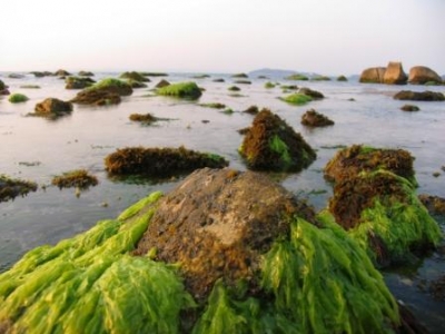 海辺