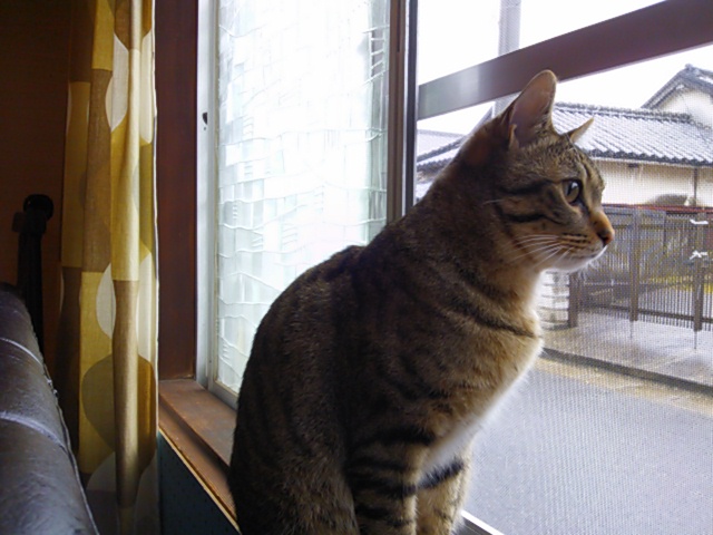 DSC_0118.JPG