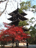 仁和寺