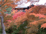 東福寺