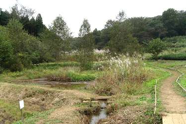西久保湿地