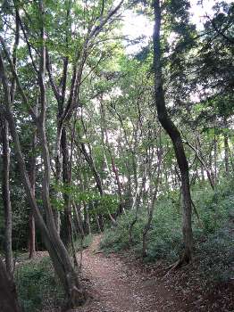 さいたま緑 2007.10.23
