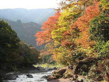 御岳渓谷 6