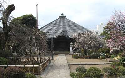 金剛寺 2