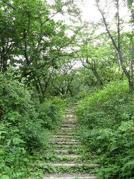 ハイキングコース(小峰公園)