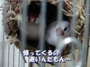 …。