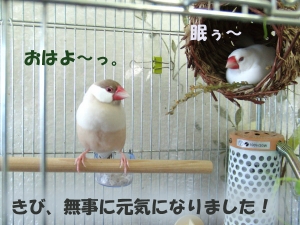 元気になりましたっ!