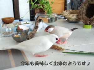 無言で試食中