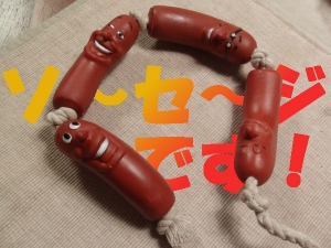ドイツからきたw