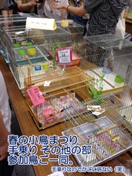 手乗り部門参加者