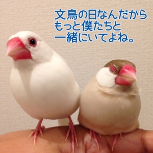 まめさんからお小言。