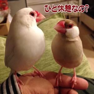 癒しの時間