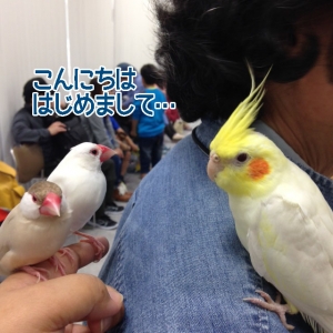 どうもはじめまして!