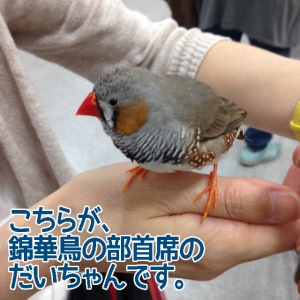 だいちゃん入賞おめでとうございます〜!