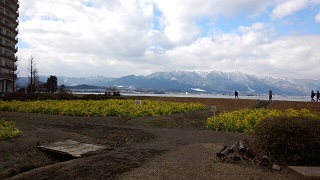 IMG_20170215_142241_.jpg