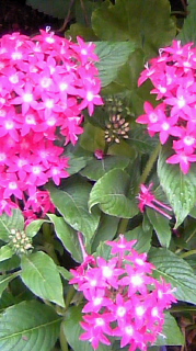 110821_1111~010001.jpg