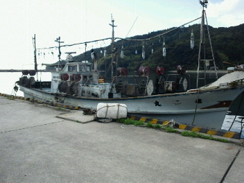 NEC_0541.jpg