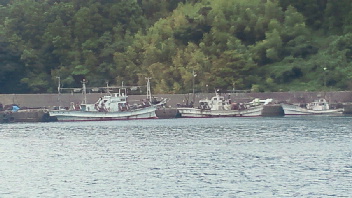 NEC_0669.jpg