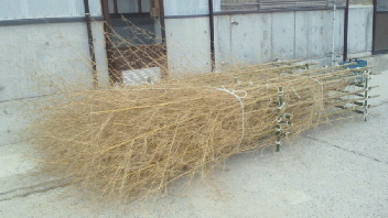2011120214140001.jpg