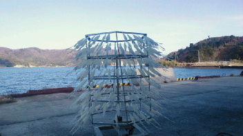 2012011710240000.jpg