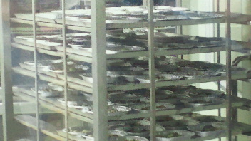 2012012010580000.jpg