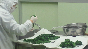 2012012008370000.jpg