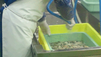 2012012008340002.jpg