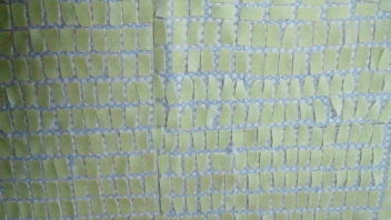2012022509060000.jpg